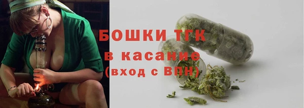 ГАЛЛЮЦИНОГЕННЫЕ ГРИБЫ Баксан
