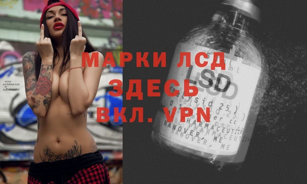 ГАЛЛЮЦИНОГЕННЫЕ ГРИБЫ Баксан