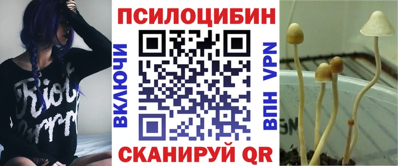KRAKEN сайт  Заинск  Галлюциногенные грибы Cubensis 